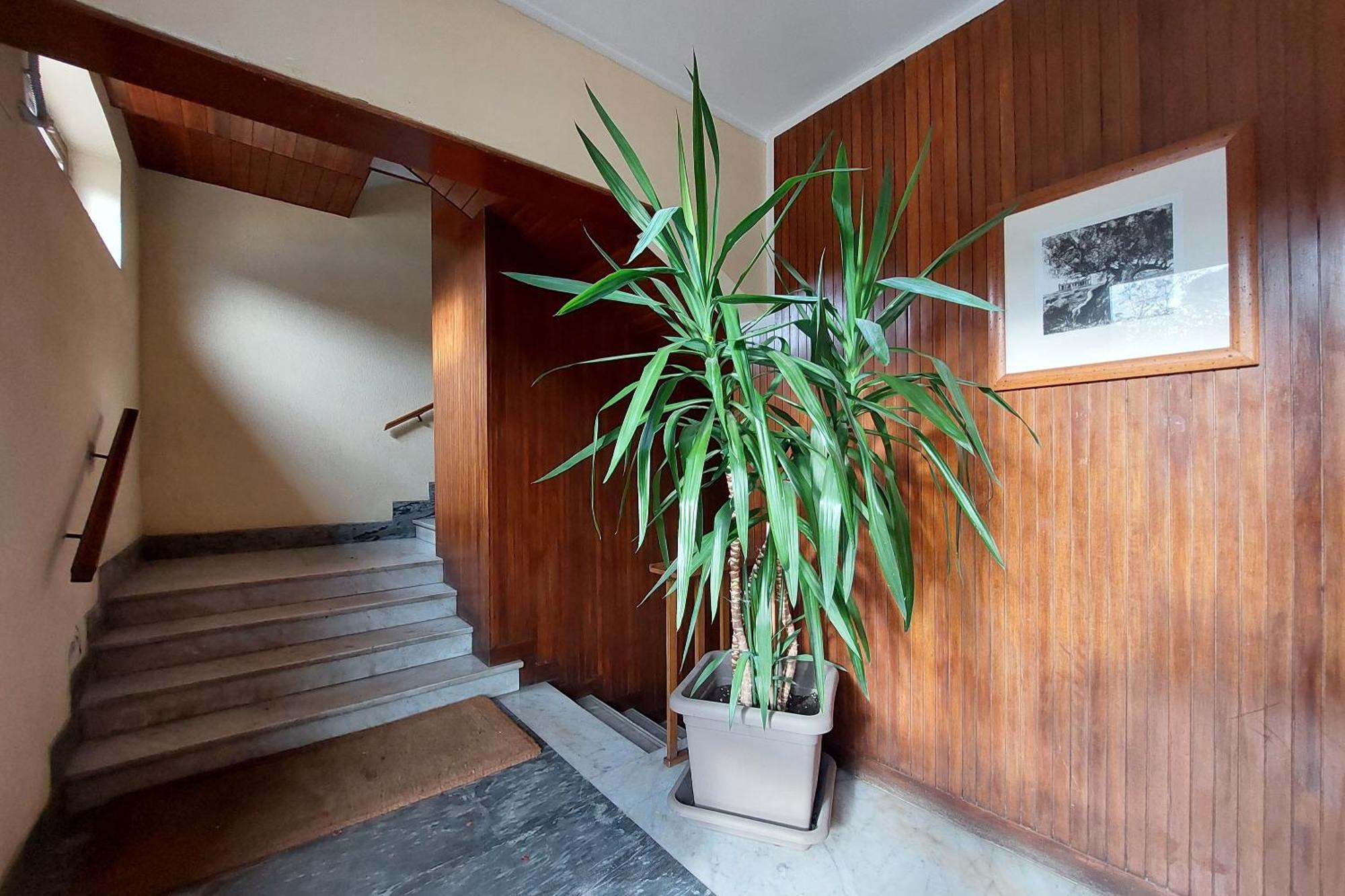 San Pietro'S Flat Διαμέρισμα Ρώμη Εξωτερικό φωτογραφία